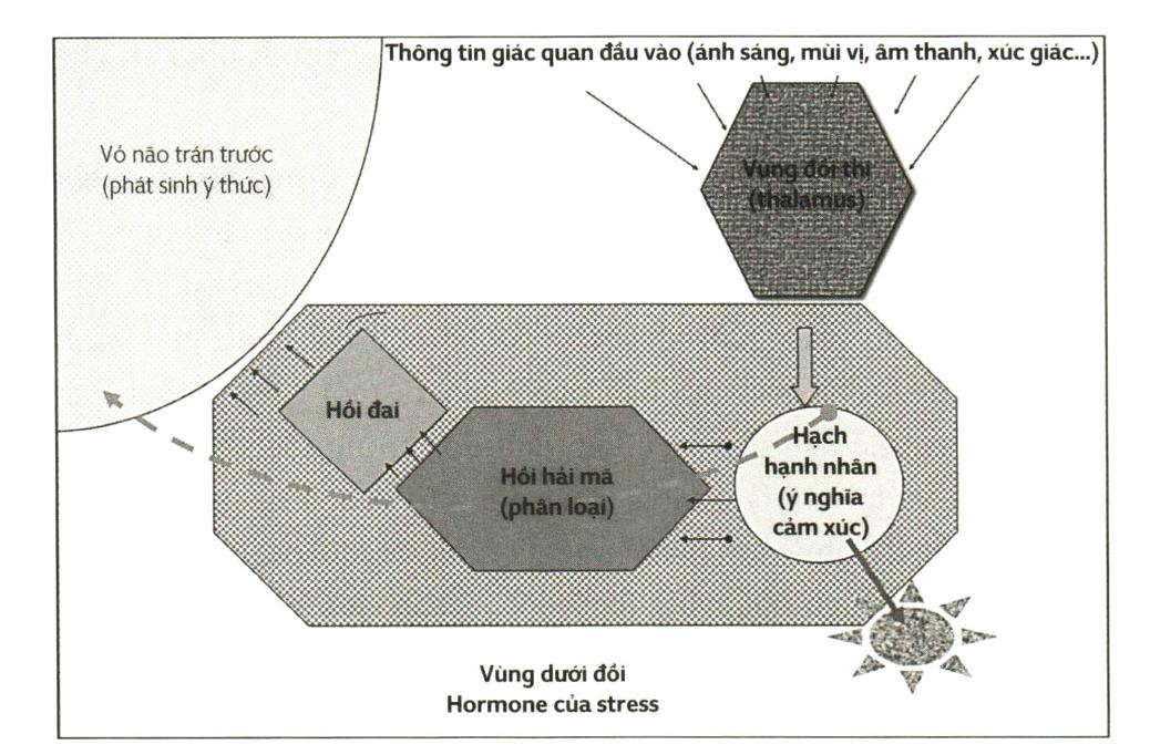 Diagram Description automatically generated