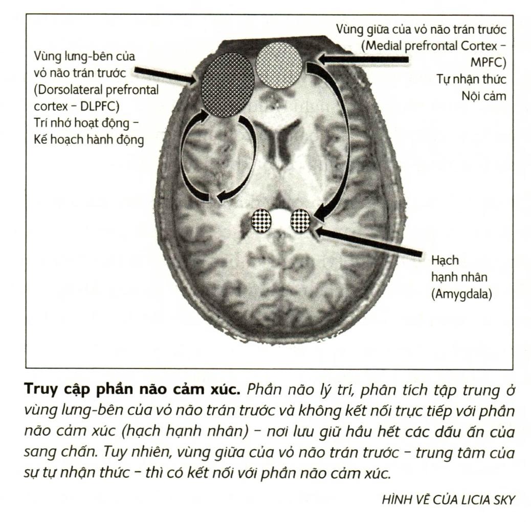 A picture containing text, arthropod Description automatically generated