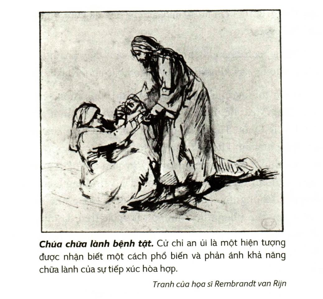 A picture containing text, book Description automatically generated