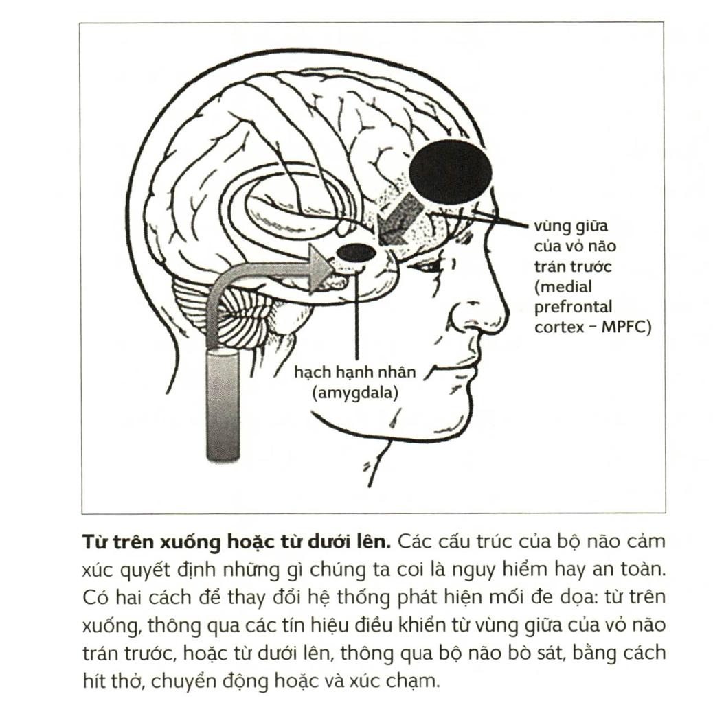 Diagram Description automatically generated