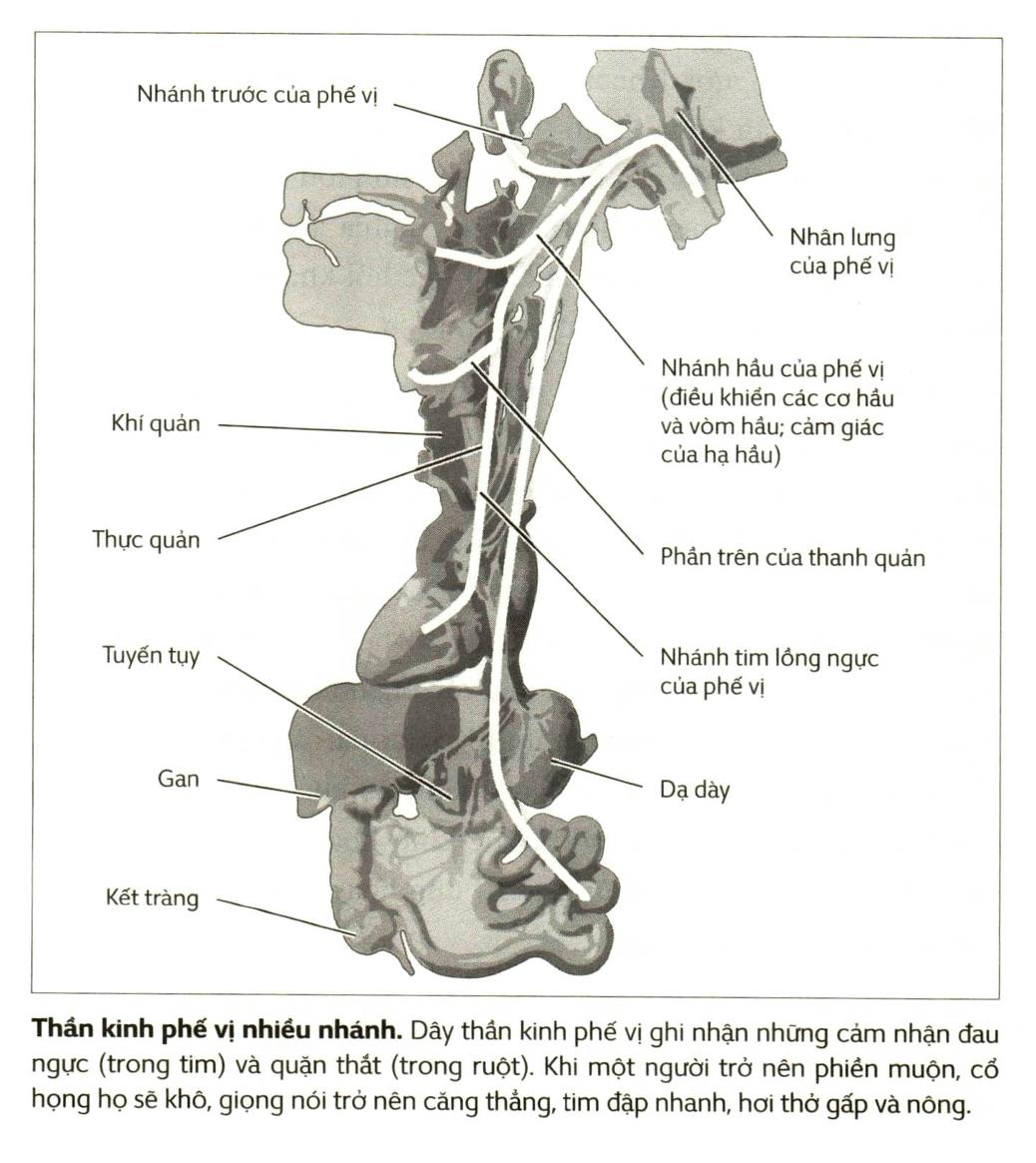Diagram Description automatically generated