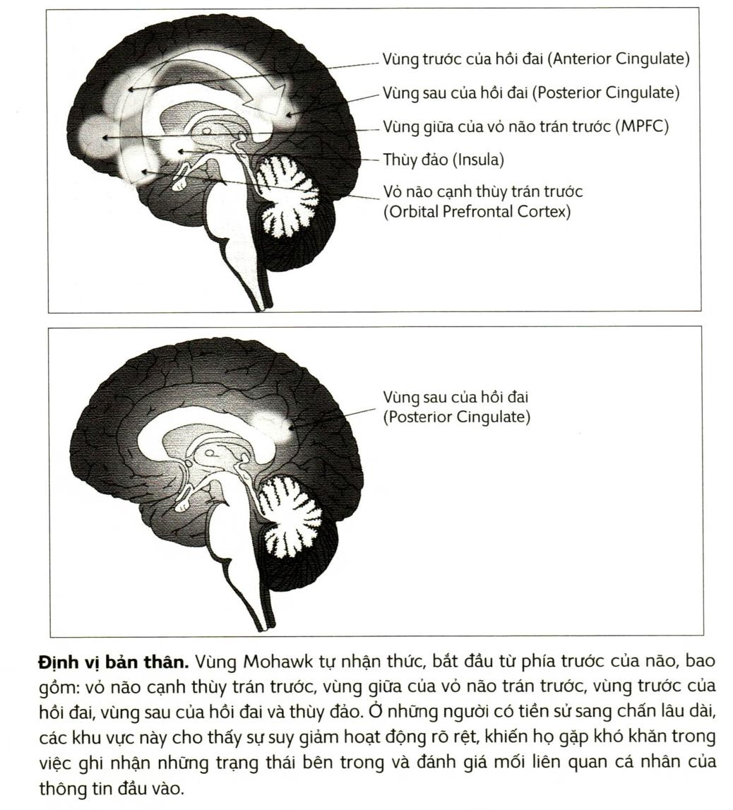 A picture containing text, book Description automatically generated