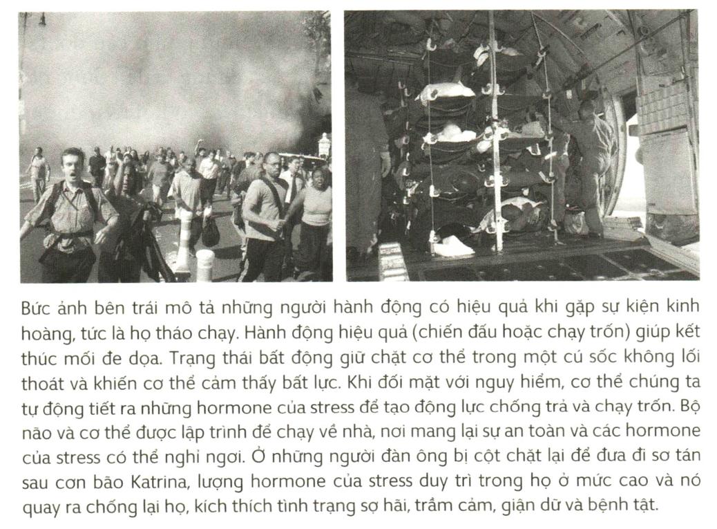 A picture containing text, newspaper, people, group Description automatically generated