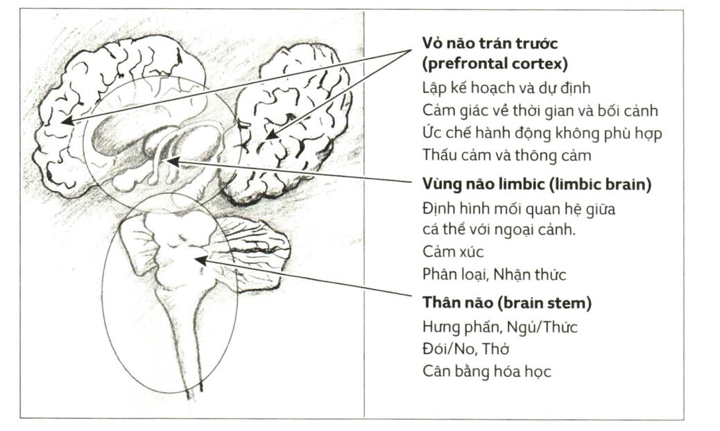 Diagram Description automatically generated