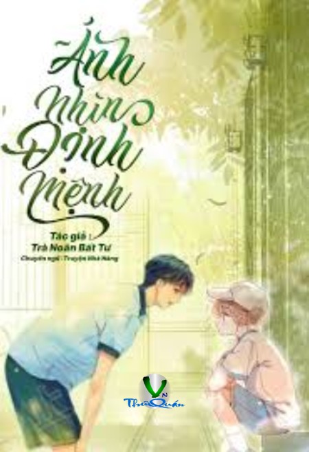 Ánh Nhìn Định Mệnh