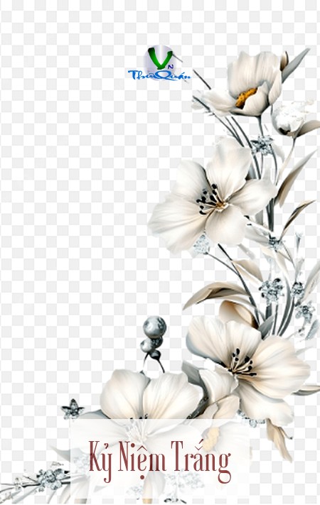 Kỷ Niệm Trắng