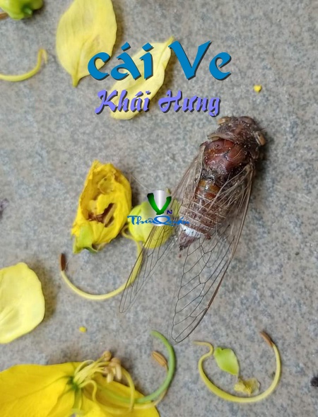 Ảnh bìa truyện