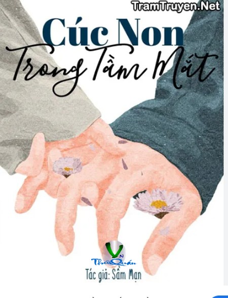 Cúc Non Trong Tầm Mắt