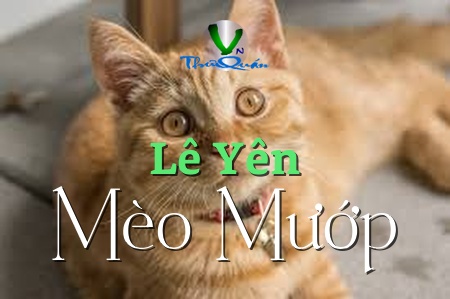 Mèo Mướp