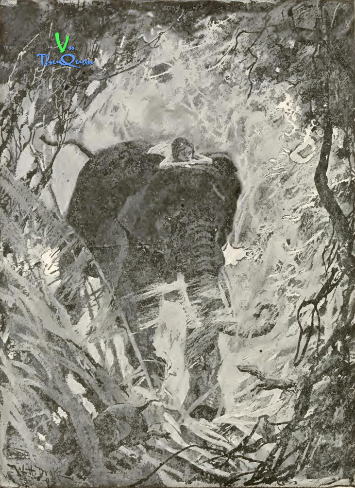 Sách rừng xanh