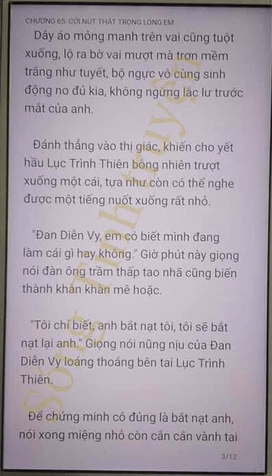 giai_nhan_va_luat_su_chap65_3.png