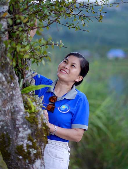 Màu Rơm Trong Nắng