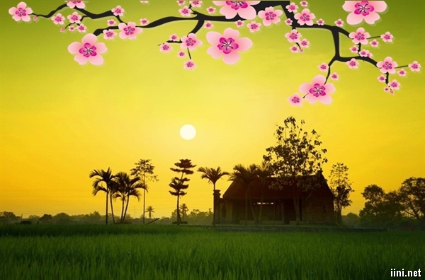 Ước Muốn Ngày Xuân