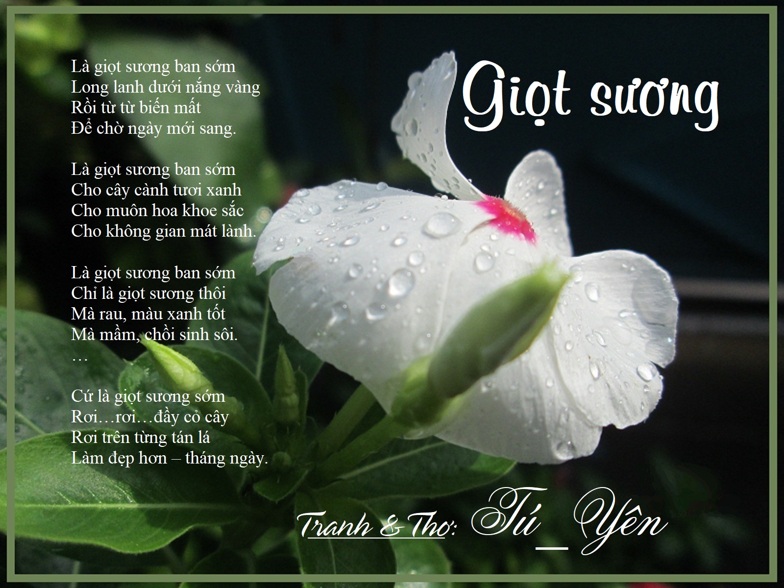 Giọt Sương