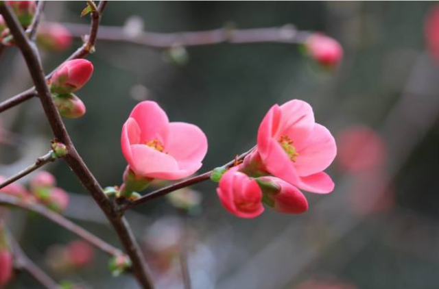 Chiều Cuối Năm