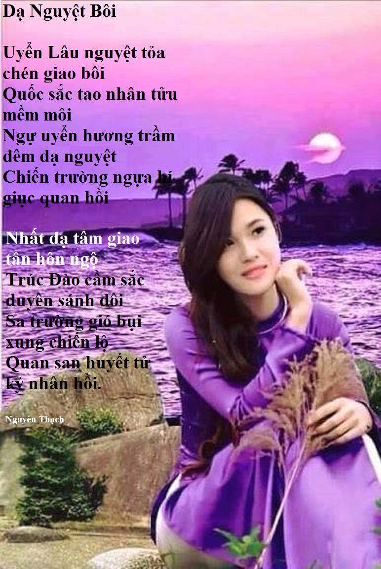 Dạ Nguyệt Bôi