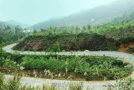 Về Lại Quê Nha