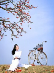  Người Em Phố Lạ Đèn Khuya