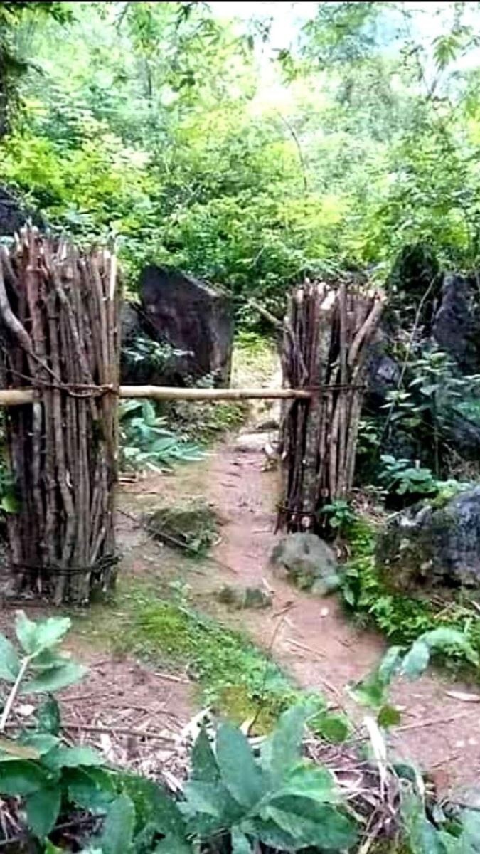 Gánh Củi Chiều Xưa