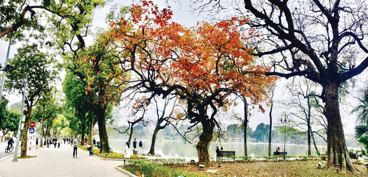 Khi Mùa Thu Trở Giấc