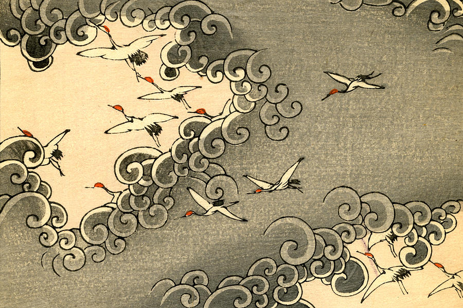 Ngàn Cách Hạc