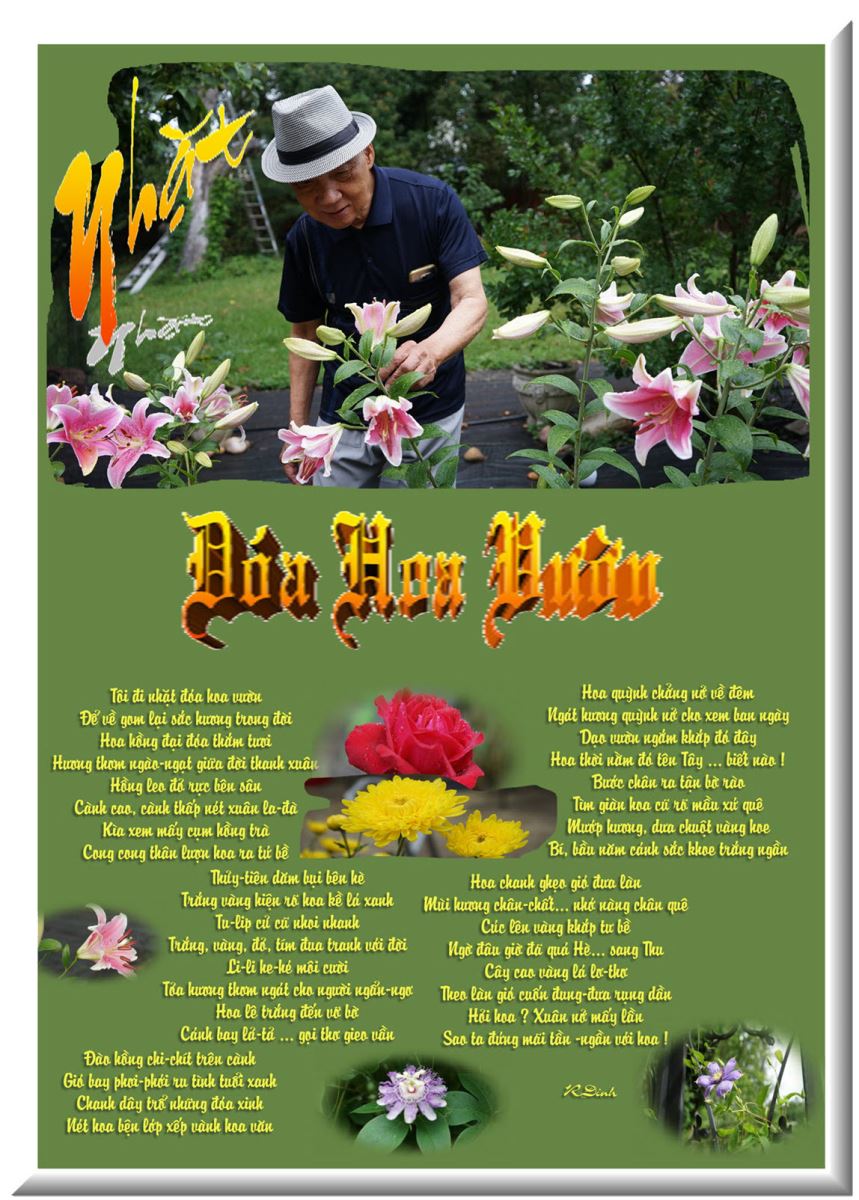 Nhặt Đóa Hoa Vườn