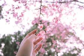 Giữ Lấy Mùa Vui Của Sóng Đời