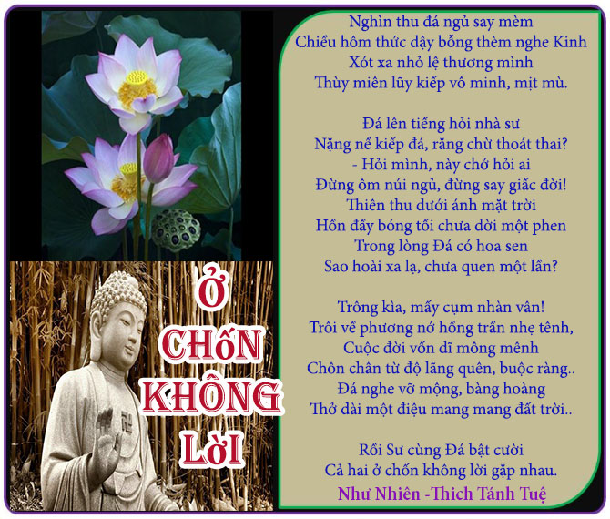 Ở Chốn Không Lời