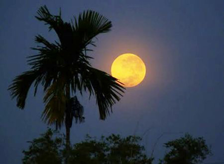 Thông Điệp Mùa Thu