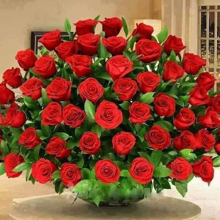 Valentine Và Em 