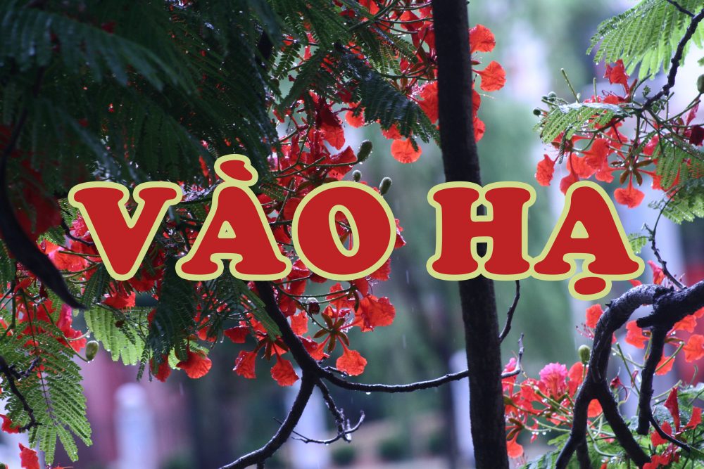 Vào Hạ