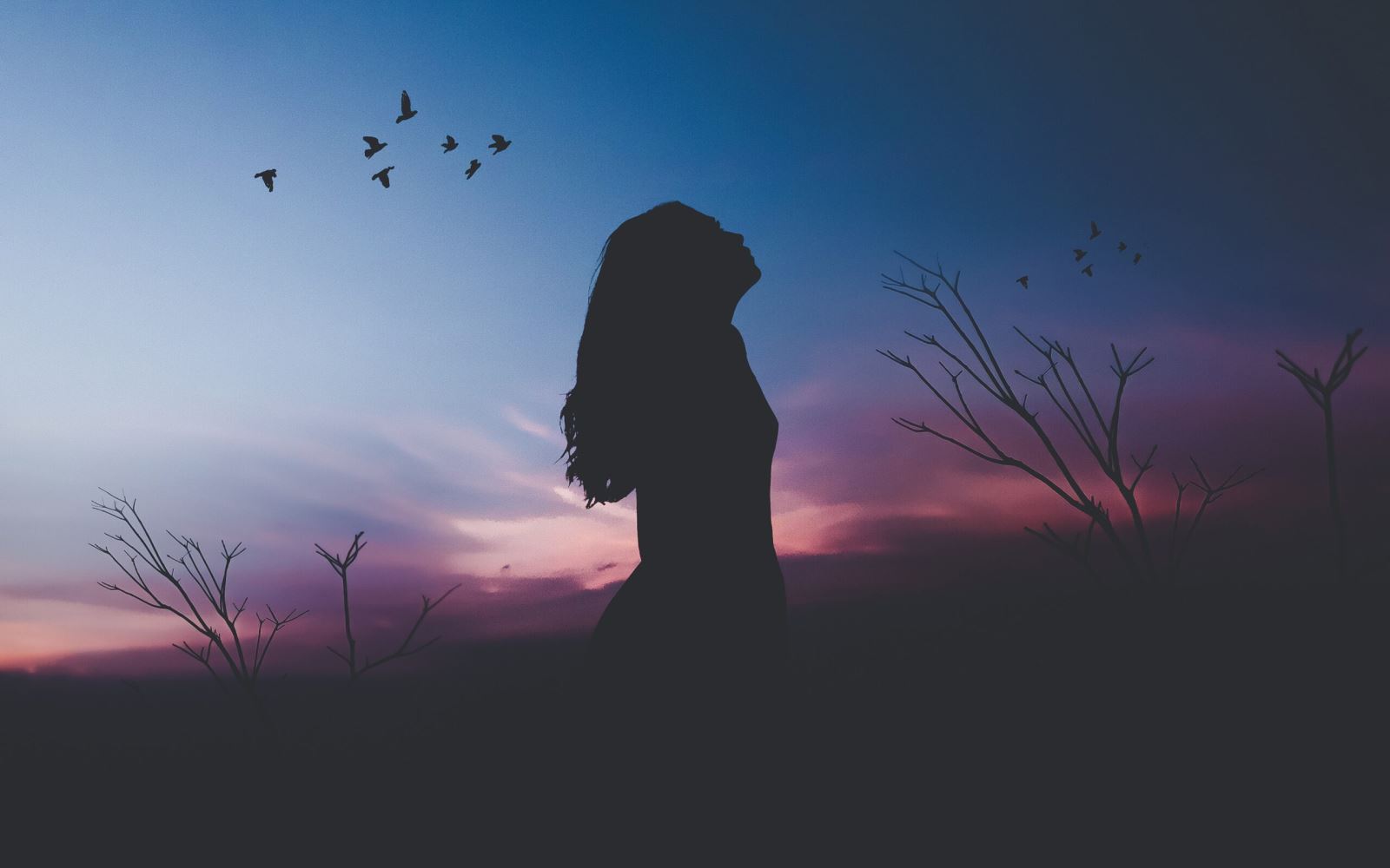 Bóng Mờ Qua Truông