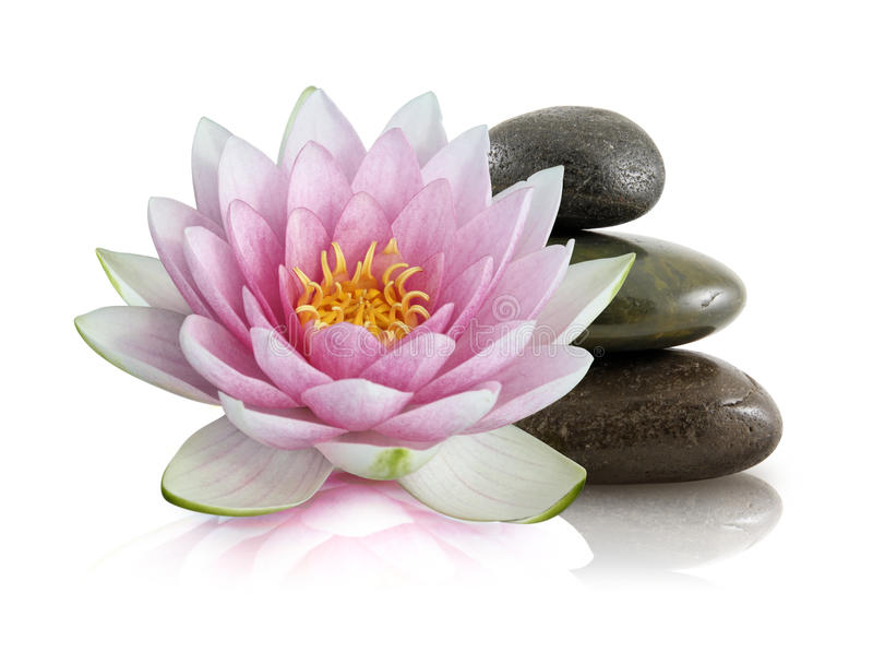 Nơi Chốn Ấy Không Còn  