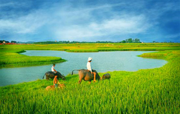 Nhớ Quê