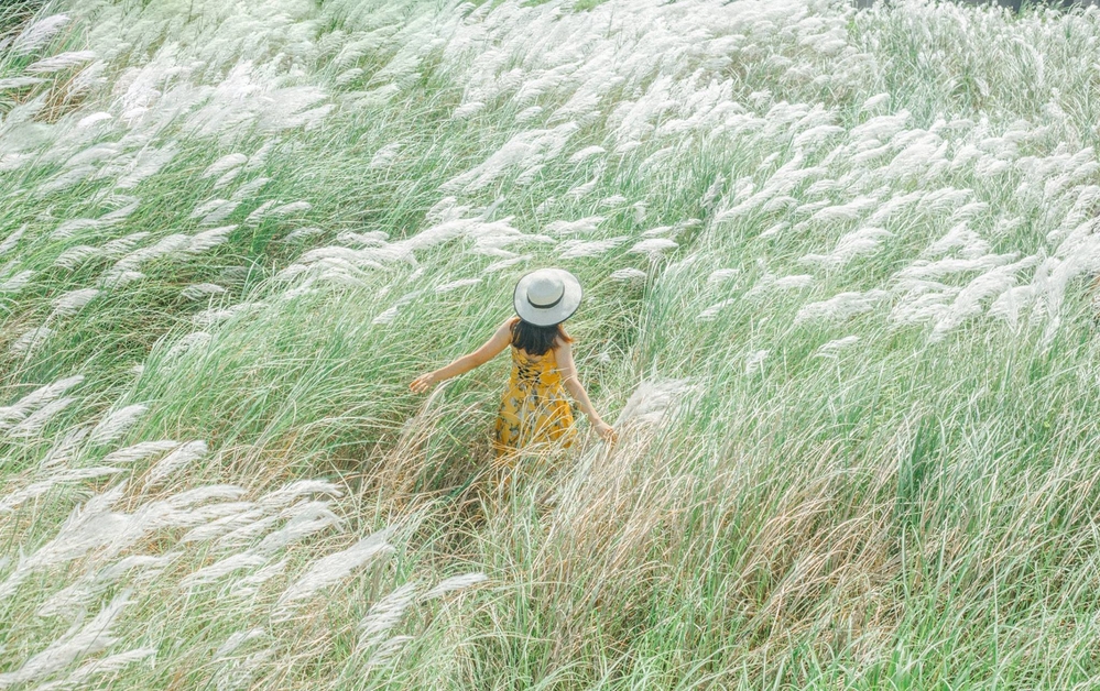  Vàng Thu