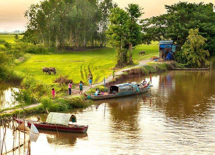 Cho Tôi Về Lại