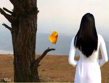 Thu Về Trong Mắt Em 