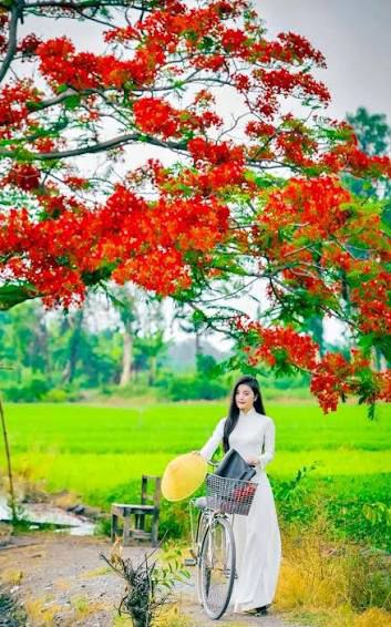 (chưa c&oacute; ảnh)