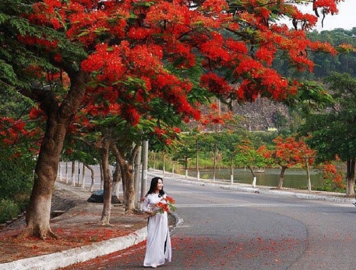 Mong Hạ