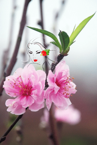 Xuân Hoan