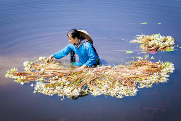 Mẹ Về Đất Đá Đơm Hoa 