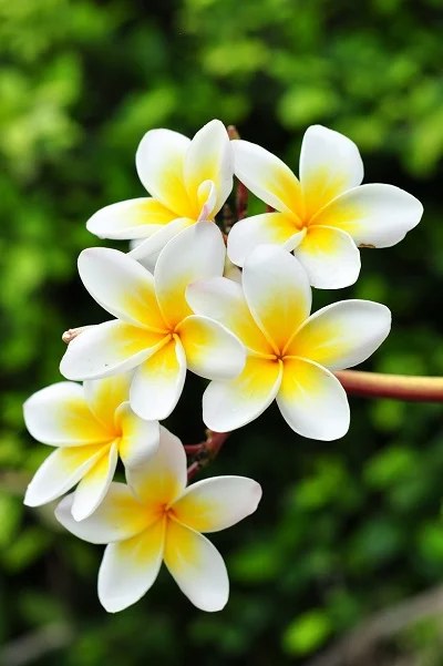 (chưa c&oacute; ảnh)
