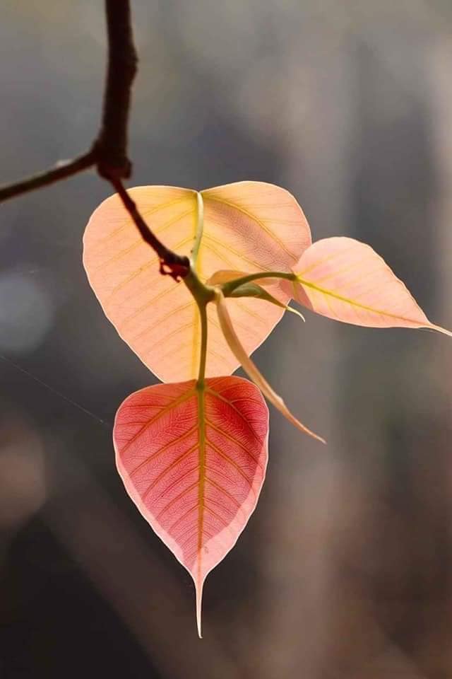 Còn Gọi Tên Nhau Quá Khứ