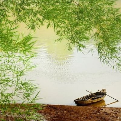 Lỡ Cuộc Trăm Năm