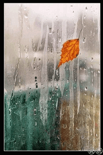 Hết Đường Đi