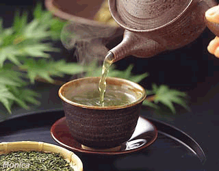 Trà Đạo Đầu Năm