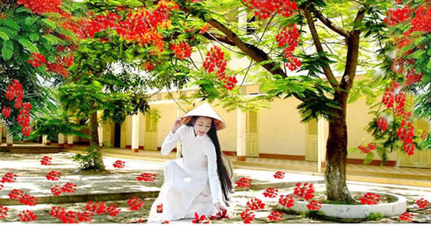 (chưa c&oacute; ảnh)
