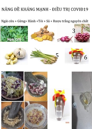 Cách Phòng Chống, Khống Chế Và Điều Trị Virus Corona 