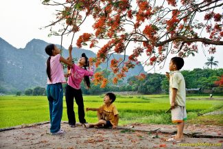 Tôi Và Nắng Hạ