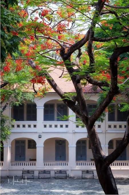 (chưa c&oacute; ảnh)